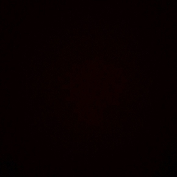 vebuskkk